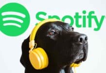 La funzione shuffle di Spotify sta avendo un malfunzionamento segnalato da numerosi utenti, ma dall'azienda madre ancora tutto tace.