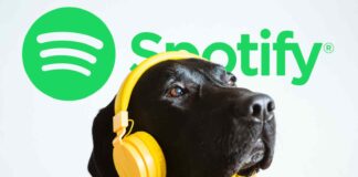 La funzione shuffle di Spotify sta avendo un malfunzionamento segnalato da numerosi utenti, ma dall'azienda madre ancora tutto tace.