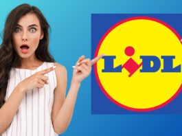 Attrezzi da professionista a prezzi mini da Lidl