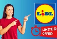 Offerte PAZZE da Lidl: attrezzi professionali per tutti