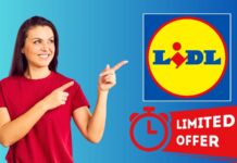 Lidl: non solo spesa, ma anche bricolage a PREZZI da urlo