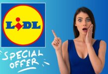 Lidl: non solo supermercato, ma il paradiso del fai-da-te