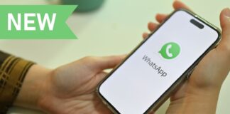 WhatsApp e i filtri per i canali: più facile trovare ciò che interessa