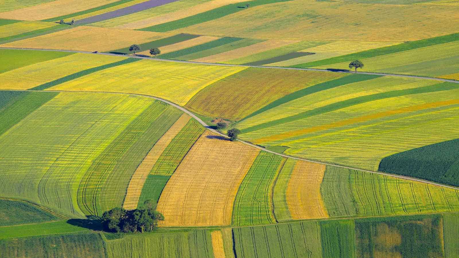 Gli scienziati hanno sviluppato dei nuovi sistemi di mappatura satellitare volti a migliorare il monitoraggio delle coltivazioni agricole.