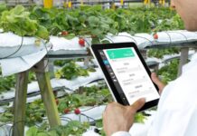 Agricoltura: ecco come diventa intelligente con Rivulis AI