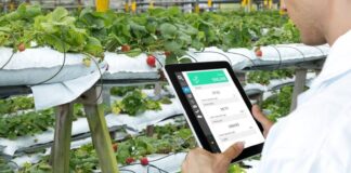 Agricoltura: ecco come diventa intelligente con Rivulis AI