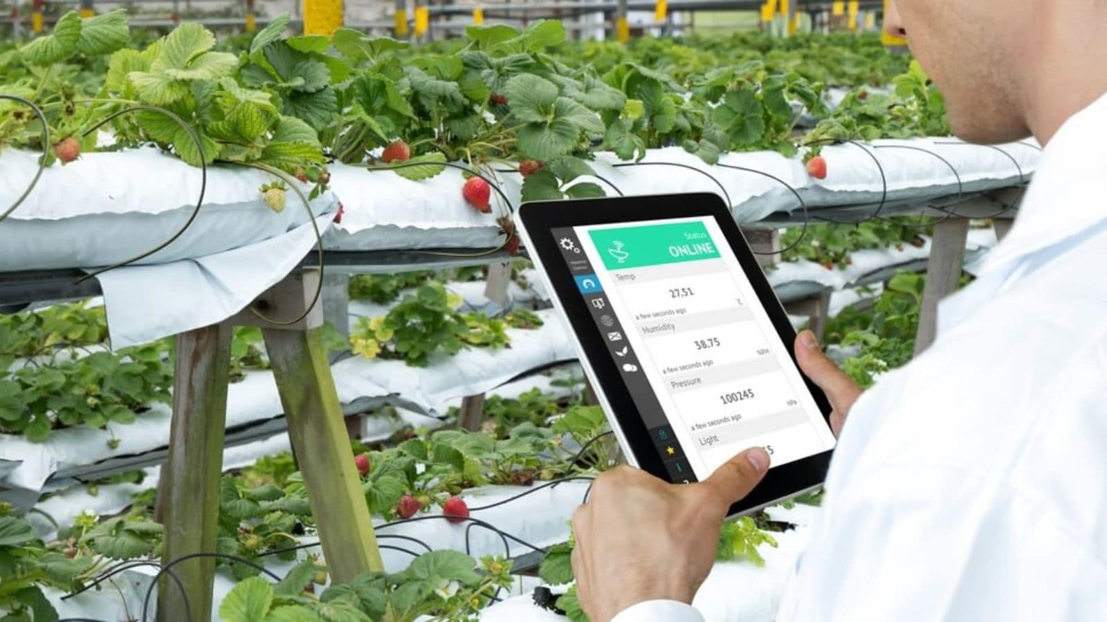 Agricoltura: ecco come diventa intelligente con Rivulis AI