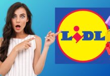 LIDL: attrezzi da sogno e PREZZI DA PAURA