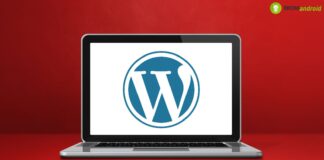 wordpress