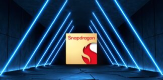 snapdragon