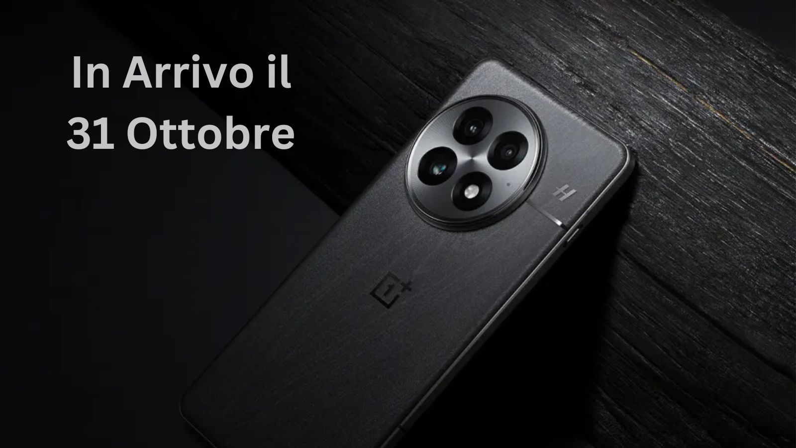 oneplus 13