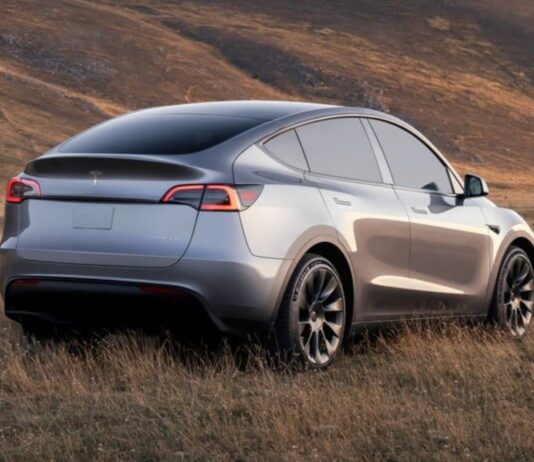 model y