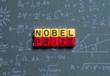 Questa settimana è quella in cui si celebra la scienza e la cultura attraverso i Premi Nobel, che quest'anno omaggiano l'IA nella Fisica.