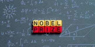 Questa settimana è quella in cui si celebra la scienza e la cultura attraverso i Premi Nobel, che quest'anno omaggiano l'IA nella Fisica.