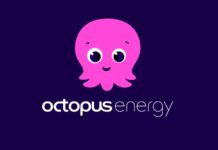 Octopus Energy Luce Gas