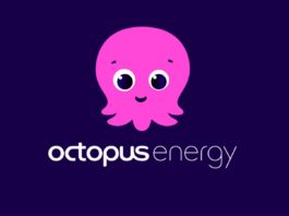 Octopus Energy Luce Gas