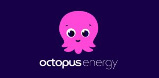 Octopus Energy Luce Gas