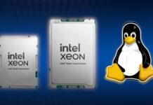 Intel Xeon migliora su Linux