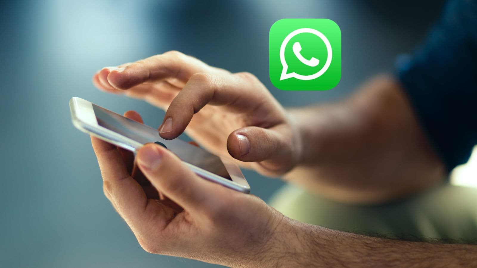 WhatsApp introduce diverse novità